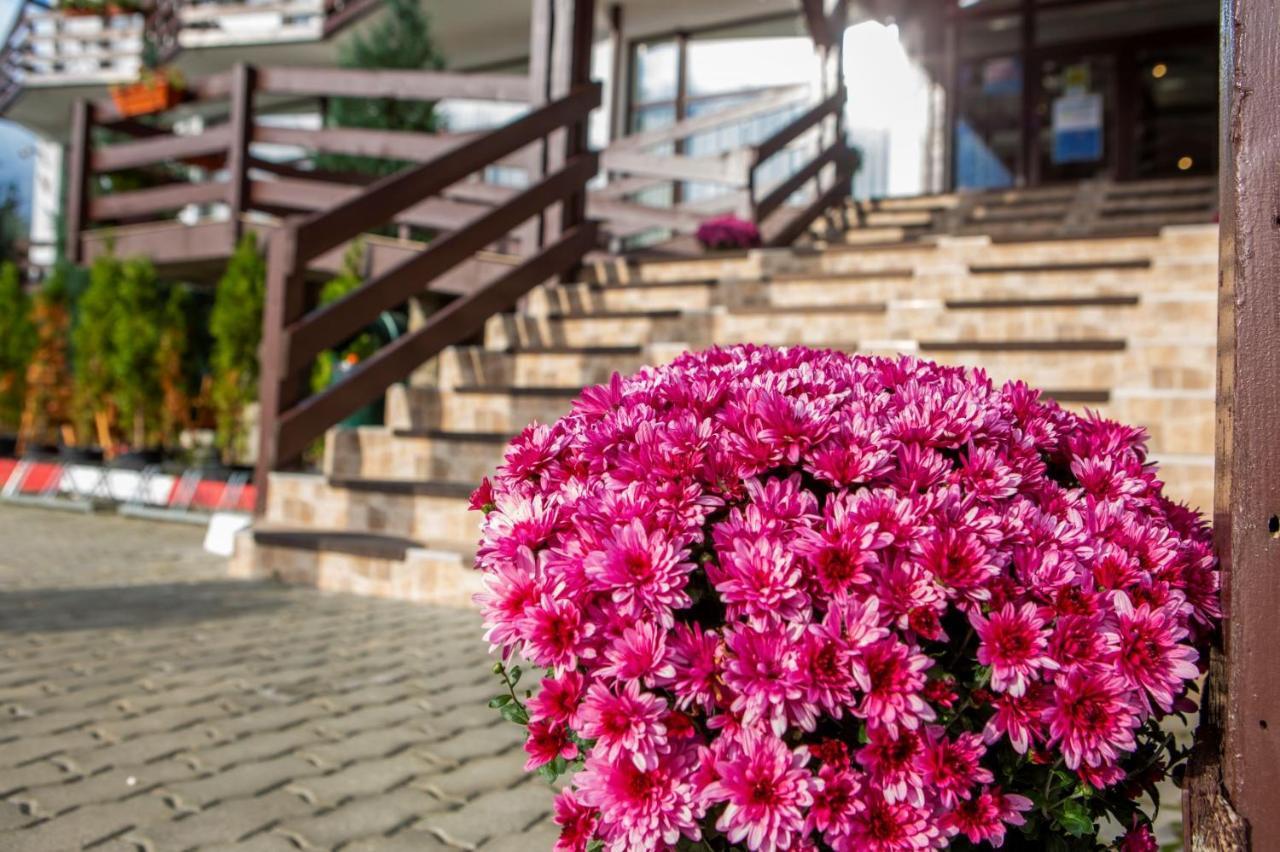 Hotel La Dolce Vita Zărneşti Exteriör bild